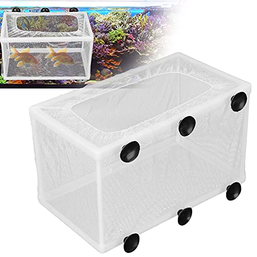 Aquarium Breeder Box with Suction Cups | Detachable Fish Hatchery & Isolation Enclosure | Multi - Functional Incubator for Fry/Unwell Fish/Shrimp | Secure Plastic & Mesh Design - size: L(13x7x2.6cm/5.1x2.8x1in)