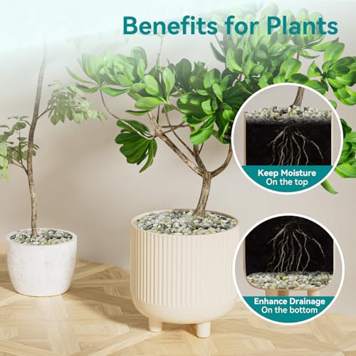 5 lbs Jade Pebbles for Indoor Plants, 3/8" Plant Rocks for Pots Indoor, Decorative Small Stones for Plants, Bamboo,Vase, Succulent, Highly Polished Small River Rocks - color: Jade