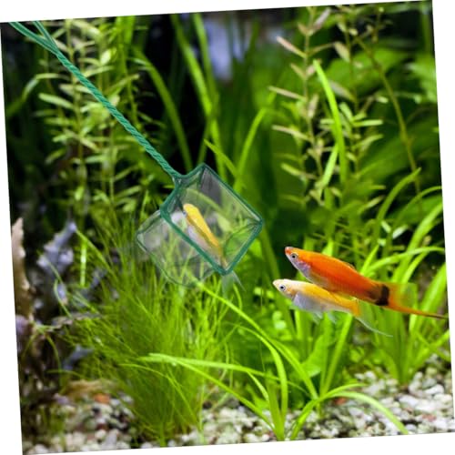 Kisangel 2pcs Fine Mesh Aquarium Fish Nets with Plastic Handles 4-inch Square Scoop Nets for Pond and Fish Tank Cleaning for Aquarium Maintenance