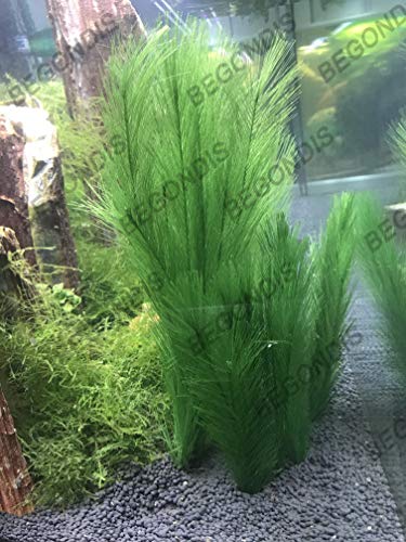 Aquarium Decorations 3Pcs Fish Tank Artificial Green Water Plants Made of Silk Fabrics Plastic - color: 11" * 3 Pcs, Green