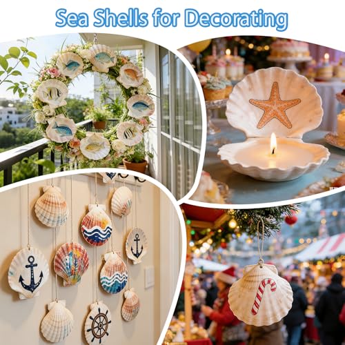 VMEECARL 20Pcs 4''-5'' Large Scallop Shells for Crafts,Natural White Sea Shells for Hand Painting, DIY Home Decor, Family Crafting Projects,Decoupage & Gift Ideas