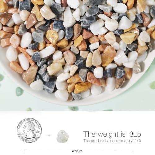 3Lb Pebbles for Indoor Plants,River Rocks for Succulent Plants,Aquarium Gravel,Decorative Stones Bonsai Garden Pebbles,Aquarium Rocks for Landscaping,Plants,Vase Fillers (Grey & White) - color: Grey & White