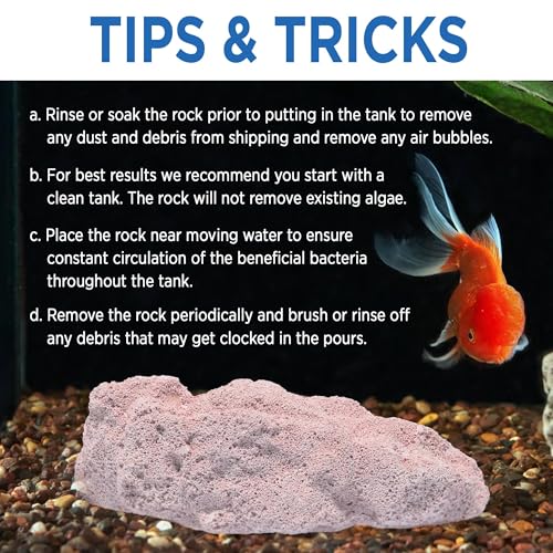 Fish Tank Rocks for Enhancing Water Clarity with Your Regular Cleaning Routine, Fish Friendly Aquarium Rocks, All Natural Aquarium Decor, Small, Up to 750 Gallons