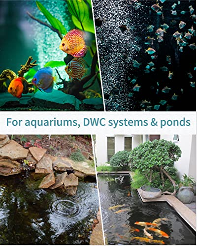 Pawfly Aquarium 12 Inch Air Stone Bar Bubble Diffuser Release Tool with Suction Cup Clip Accessory for Air Pumps DWC Systems Fish Tanks and Small Garden Ponds - size: White