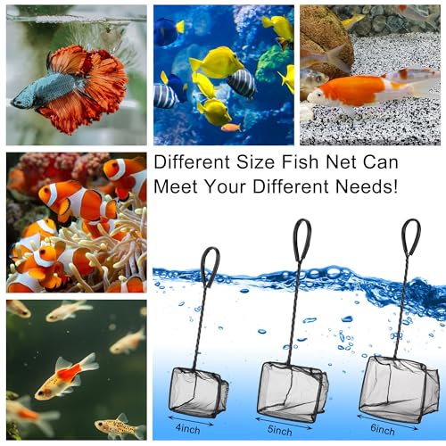 3 Pack Aquarium Net, Multi-Size Fine Quick Fish Catch Nets Extra Soft Nylon Fishing Nets with Plastic Handle for Aquarium Fish Tank Supplies- Black (4in,5in, 6in) - color: Black, size: Multi-Size Set: 4"/5"/6" (3-Pack)