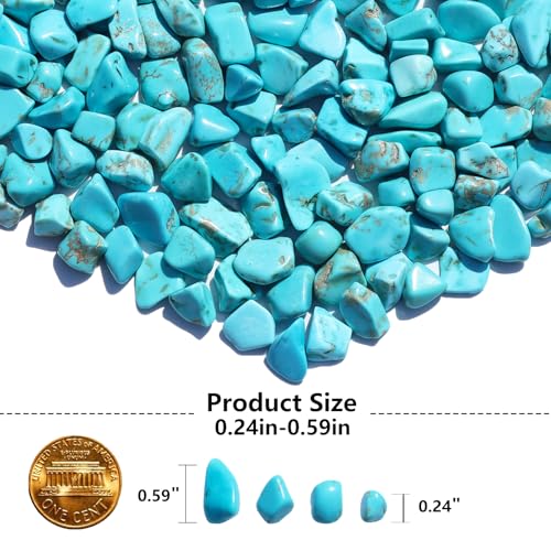 QYGL Crystal Stone - 0.9LB Howlite Turquoise Crystal Chips Bulk, Decorative Tumbled Gemstones for Fish Tank Gravel, Vase Filler, DIY Crafts, Plant Pots & Home Decor - color: Turquoise