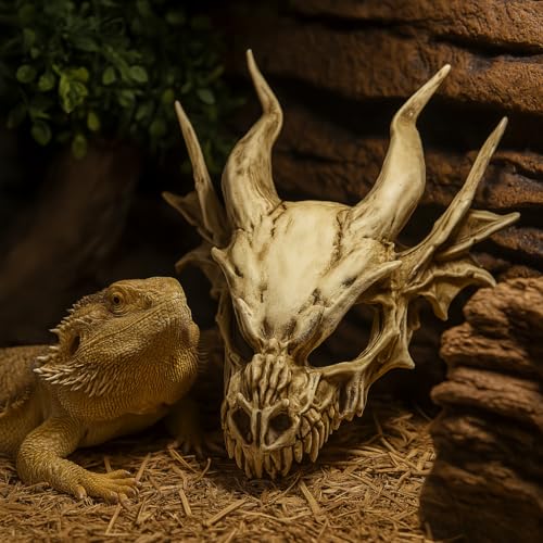 GuoShuang Dragon Skull Decor for Terrarium, Gothic Reptile Hideout Tank Accessories, Realistic Bone Resin Skull Ornament for Lizard Gecko Bearded Dragon Cage Aquarium