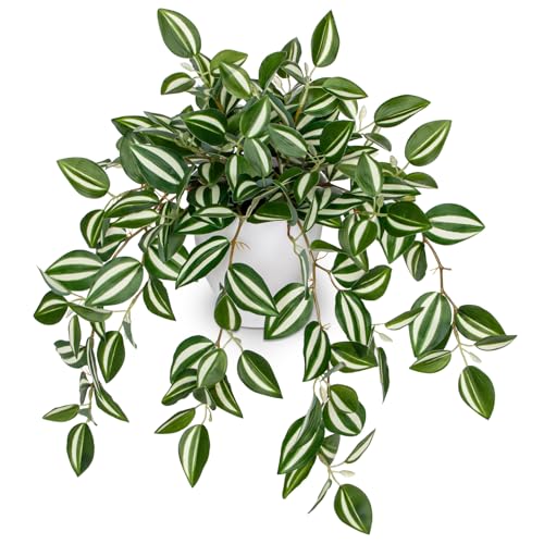 Briful Artificial Hanging Plant, Faux Watermelon Peperomia Potted Plant with Trailing Vines Realistic Fake Greenery for Shelf Bathroom Office Kitchen Home Decor - color: Green Style#3