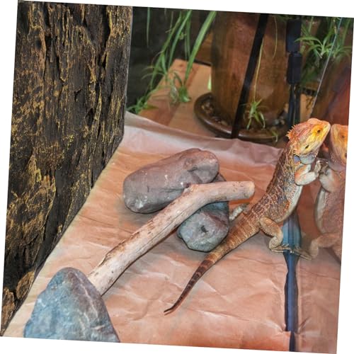 Mipcase 3D Reptile Tank Background Board Aquarium Tank Decoration for Bearded Dragon Decorative Sheet
