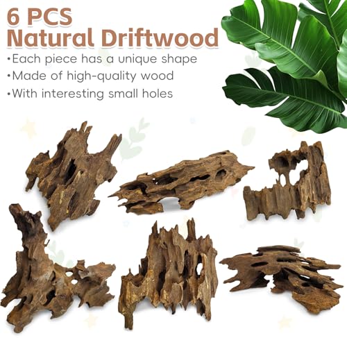 PINVNBY 6 Pcs Driftwood for Aquarium Decor 8" - 11" Natural Large Drift Wood for Fishtank Reptile Tank Aquarium Driftwood Branches Shrimp Wood Terrarium Decoration Assorted - size: 8" - 11"