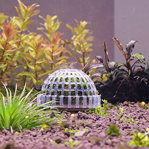 2PCS Aquarium Moss Ball Holder, Aquarium Landscaping Plants Holder Fish Tank Decoration for Aquarium Fish Tank