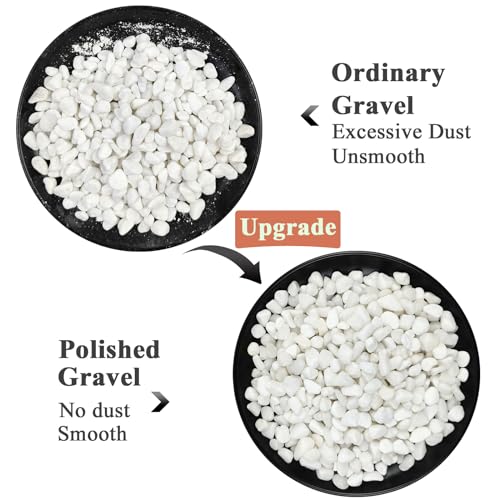 FANTIAN 10 lbs White Pebbles for Indoor Plants, 3/8 Inch Decorative White Stones. Polished River Rocks for Potted Plants Vase Cactus Bird Bath and Outdoor Garden Landscaping - size: 10 pounds, style: White
