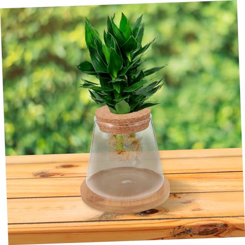 Happyyami 1set Desktop Fish Bowl Lid Glass Small Fish Tank for Betta Elegant Hydroponic Vase Mat Table Adornment for Home