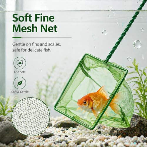 2 Pack Aquarium Fish Net, 4 Inch Fine Mesh Fish Tank Net with Durable Braided Handle, Small Net for Fish, Shrimp, Debris Cleaning in Aquarium, Pond & Pool