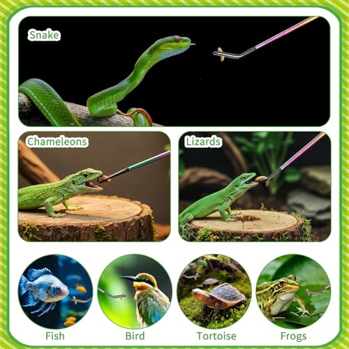 3PCS Stainless Steel Reptile Feeding Tongs Straight Curved Long Tweezers 10.6” Long Aquarium Reptile Tweezer Reptiles and Feeding Accessories Tweezer Feeder Tool for Aquarium Terrarium