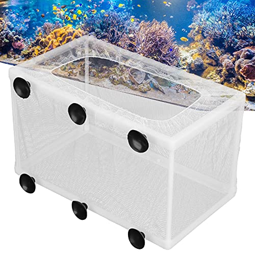 Fish Breeding Aquarium Box, Multifunctional Fish Breeder Box for Small Fish, Size L - size: Large