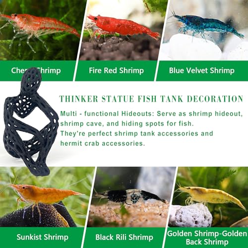 LIYAOLI Shrimp Hide Cave for Aquarium Decor - Modern Shrimp Cave & Sculpture, 3D Printed White Fish Tank Accessories Decorations, Safe Shelter for Shrimps/Betta/Turtles, Mini Art Statue (Black) - color: Black