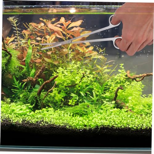 BESPORTBLE 1set Aquarium Aquascaping Tools Kit Water Plant Scissors Tweezers Spatula for Fish Tank Maintenance for Pruning Delicate Aquatic Plants