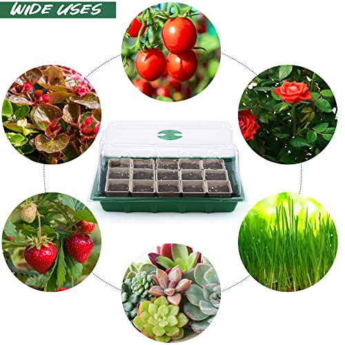 Hahood 4 Pack Seed Starter Tray Set Plants Growing Trays Peat Pots for Seedlings with Seed Starter Pots, Plastic Germination Tray, Plant Labels, Tool for Flower Vegetable Planting, Green - color: Green