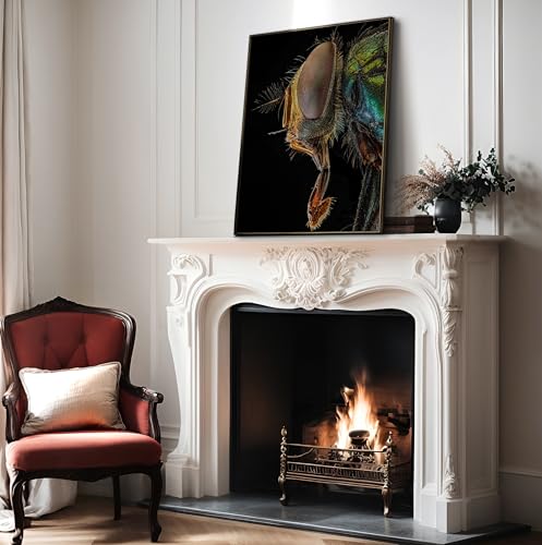 Monem Art Green Bottle Fly Print - Lucilia Sericata Poster - Animal Photography Wall Decor - Great Office, Living Room or Office Decor - 12x16 Unframed Wall Art by Andi Halil - color: Style-07, size: 12"L x 16"W