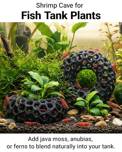 Shrimp Cave for Fish Tank Plants, 2-Pack Round Aquarium Caves for Cherry & Dwarf Shrimp, Plant-Compatible Shrimp Tank Accessories, Aquarium Decor (Black)