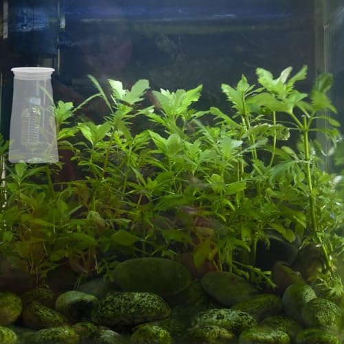 4 Pack 4 Inch Aquarium Filter Bags, Nylon Mesh Filter Socks, 200 Micron Felt Filtration, 4 Inch Ring by 10 Inch Long - size: 10''x4'' (200 Micron)