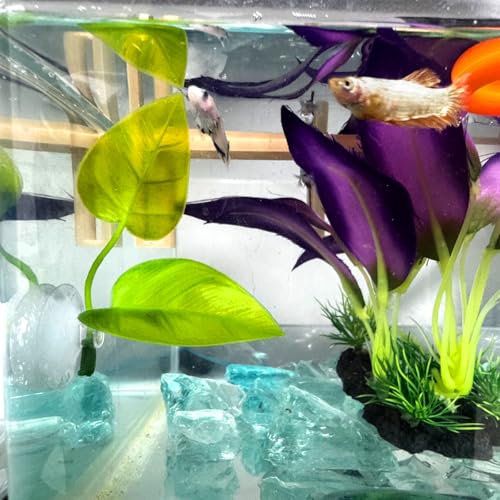6 Pcs Betta Fish Toy Set, Includes Betta Mirror, Exercise Ring, Leaf-Shaped Hammock, Suitable for Betta Fish Tanks Accessories, Aquariums Decor