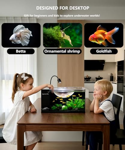 Fish Tank Kit,3.5 Gallon Small Aquarium,Ultra-Clear Nano Aquarium,Betta Fish Tank,Suitable for Small Fish Tank,Aquarium Starter kit,Desktop Fish Tank (Black Background) - color: Black background
