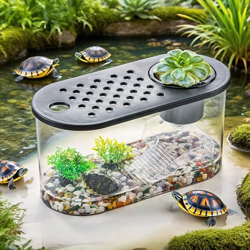 Small Turtle Tank Kit, Reptile Aquarium with Basking Platform, Decor Stones & Water Grass – Habitat for Turtles, Hermit Crabs, Fish – Ideal for Home or Office (12" x 6" x 12") - color: Black