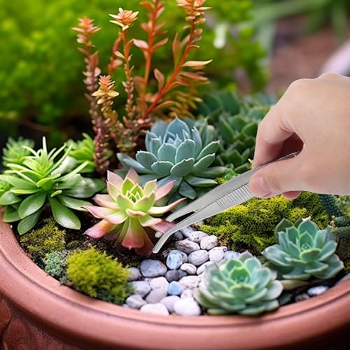 5pcs Stainless Steel Garden Tweezers Set, Precision Long Plant Tweezers for Succulent Bonsai Terrarium Craft Aquarium Gardening Tools