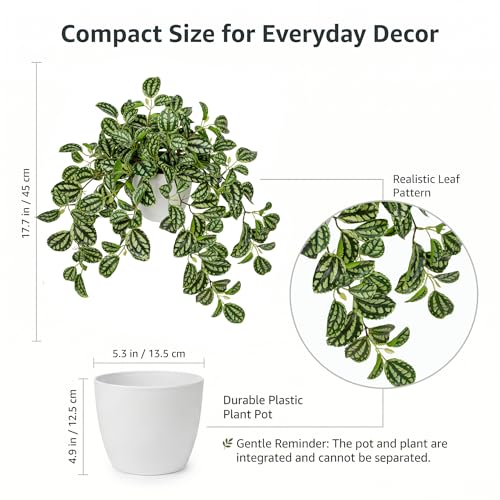 Briful Fake Plants Indoor Artificial Potted Silk Plants Faux Watermelon Peperomia Trailing Vine Plant for Home Office Livingroom Desk Shelf Mantle Decoration(Green/White - 1 Pack) - color: Green Style#2