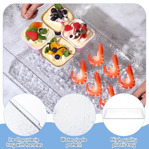 Baderke 2 Set 16" x 9" Plastic Chilled Serving Tray for Parties with Compartments Ice Chilled Party Platter Charcuterie Serving Board Cold Dish Dip for Fruit Seafood Vegetable Appetizer (Clear) - color: Clear