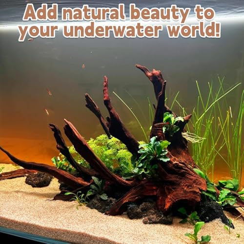 PINVNBY Natural Driftwood for Aquarium Decor Fish Tank Decorations Reptile Decor Driftwood Decor, 3 Pieces 7"-11" Assorted Driftwood Branch - size: L: Mopani Driftwood (7-13 inches/3 Pack）