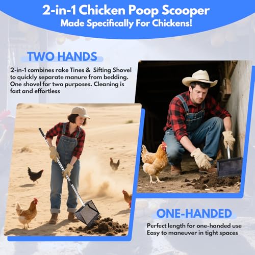 Chicken Poop Scooper Rake 2-in-1,304 Stainless Steel Shovel Head, Chicken Litter Scoop with Handle for Chicken Coop for Sand, Pet Waste Cleaning, Litter Sifting Shovel (35 to 65") (Black, 10inch) - color: Black, size: 10inch