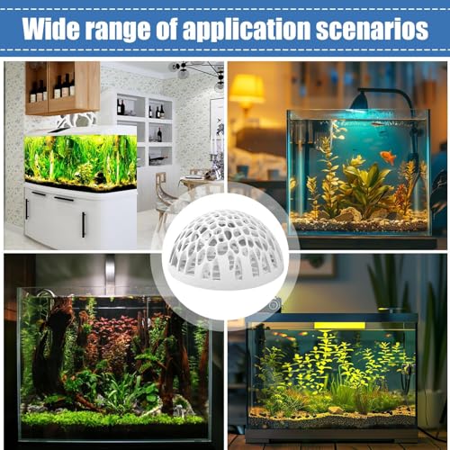 Shrimp Cave Betta Habitat Ornament | Realistic 2-Piece Betta Resting Habitat for Tropical Fish Tanks, Perfect for Home, Office, School Desk Aquariums and Small Aquatic Life Enthusiasts - color: White