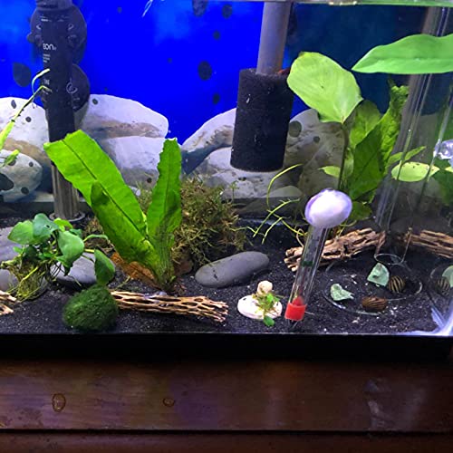 300MM Aquarium Shrimp & Fish Feeder Tube with Glass Bowl & Suction Cups for Aquarium Shrimp & Fish - size: 300MM Feeder Tube + Round Bowl
