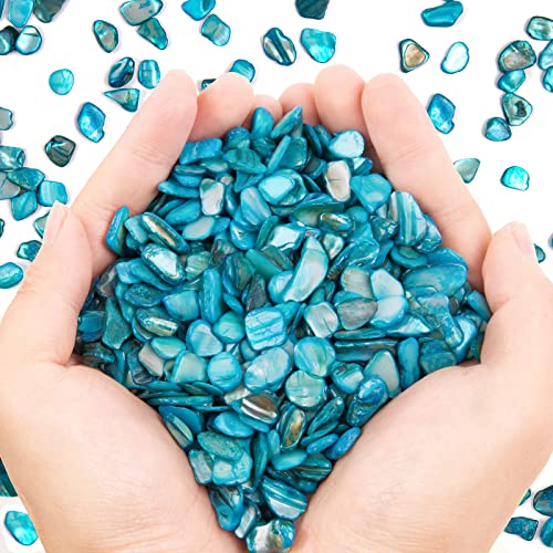 QICQDRAM Crushed Shells for Crafts About 1LB (405g/14.28oz) Small Natural Crushed Shells Bulk for Crafts DIY Beaching Wedding Decoration Vase Fillers (Light Blue) - color: Light Blue, size: 1LB (405g/14.28oz)