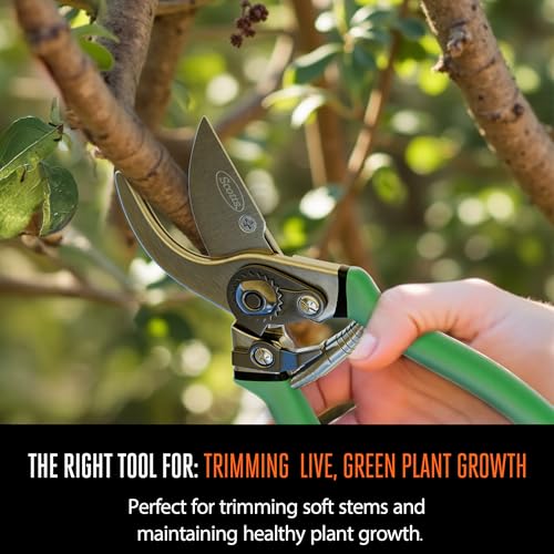 Scotts 8 in. Bypass Pruning Shears – 1/2 in. Cutting Capacity; Gardening Hand Pruner with Sharp Carbon Steel Blade and Non-Slip Grip – Lightweight Garden Tool for Live Plants and Soft Stems - style: Bypass Pruner