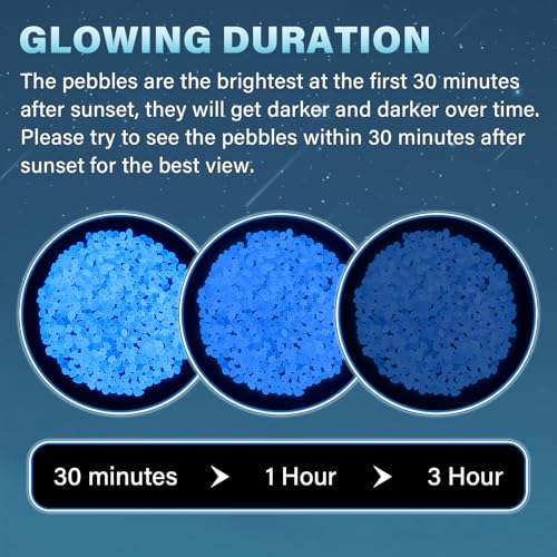 PoYang 1000pcs Glow in The Dark Rocks Outdoor - Blue Resin Glowing Pebbles for Landscaping, Garden, Fish Tank and Aquarium Indoor Decor, Powered by Sunlight or Lamplight (0.4"-0.7"/pc, 1.2lbs/Bag) - color: Blue