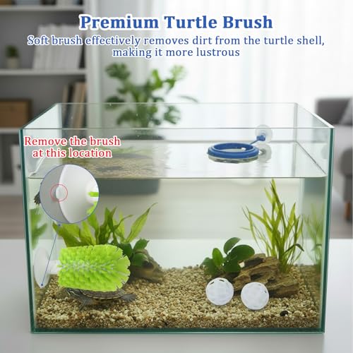 Turtle Brush with Filter Ball & Feeding Ring, Suction Cup Turtle Tank Decorations, Securely Adheres to The Surface of Water Tanks, for Remove Dirt from The Turtle's Back and Belly