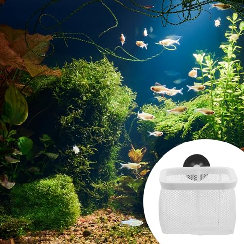 Totority Fish Tank Breeder Net with Suction Cups Durable Isolation Box for Shrimp and Betta Fish Easy Installation and Cleaning Spawning and Protection of Newborns