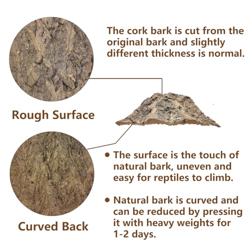 Tfwadmx 2PCS Cork Terrarium Background 11.8” x 11.8” Natural Cork Bark Backdrop Reptile Background Climbing Wall Terrarium Accessories for Lizard, Tortoise, Gecko, Bearded Dragon, Chameleon - size: 2Pcs-11.8” x 11.8”