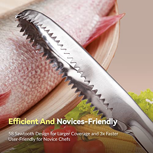 Fish Scaler Stainless Steel Fish Scaler Remover No Mess - Sturdy Fish Scale Remover Portable Fish Descaler Tool- Reliable Fish Cleaner Fish Scraper for Quick & Easy Fish Scaling Cleaning - color: 1 piece