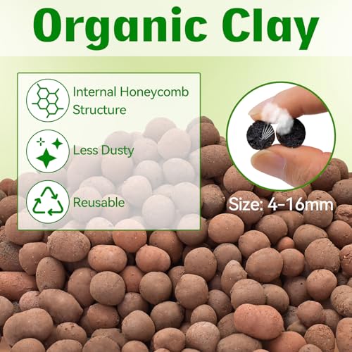 8QT Leca Clay Pebbles for Reptile Substrate - Organic Expanded Clay Balls for Bioactive Terrarium Drainage Layer & False Bottom, Lightweight Hydro Balls for Leopard Gecko, Tortoise, Frog