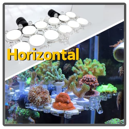 Coral Frag Rack for Aquarium, N52 Strong Magnetic Holder with 12 Frag Plugs, Polycarbonate Not Acrylic Never Yellow, Stackable Non-Slip Base, Fits up to 0.6" Glass, Reef Magnets Rack