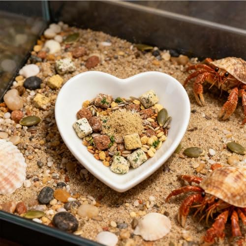 2 Pcs Hermit Crab Food Dish Ceramic Hermit Crab Water Bowl Reptile Water Dish Aquarium Accessory for Bearded Dragon Lizard Gecko Tortoise Snail Frog (White Love Heart)