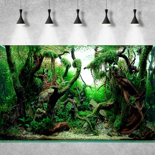 Freshwater Aquarium Background Jungle Style Aquascape Microsorum Trident Various Rotalas Anubias Fish Tank Background Aquatic Plants Frodo Stones and Redmoor Roots Terrarium Background 24x12in - color: Root Green, size: 24(W)x12(H)in