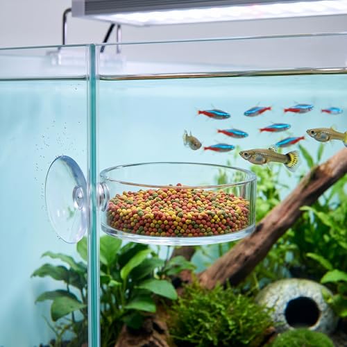 2 Pcs Shrimp Feeding Dish, 65mm Round Aquarium Feeder Dish with Suction Cups Clear Acrylic Fish Tank Feeding Bowls