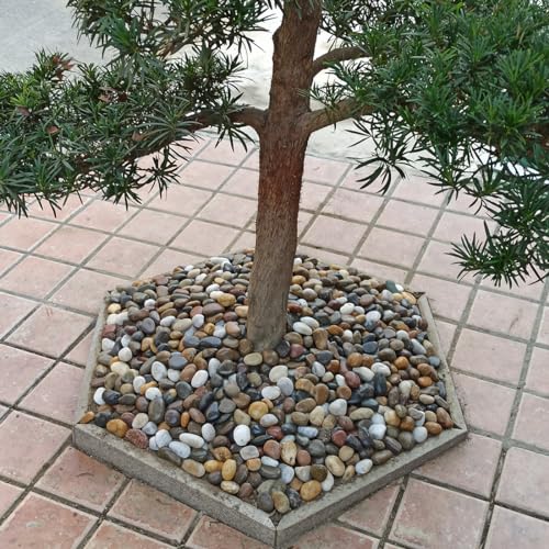 YISZM 40lbs Large River Rocks for Landscaping, 3-4" Decorative Pebbles for Garden Design, Hand-Picked Smooth Stones for Fish Tank, Flower Pots, Indoor Water Fountains, Pathways, Backyard, Mixed Color - color: Mixed Color, size: 40 Pounds