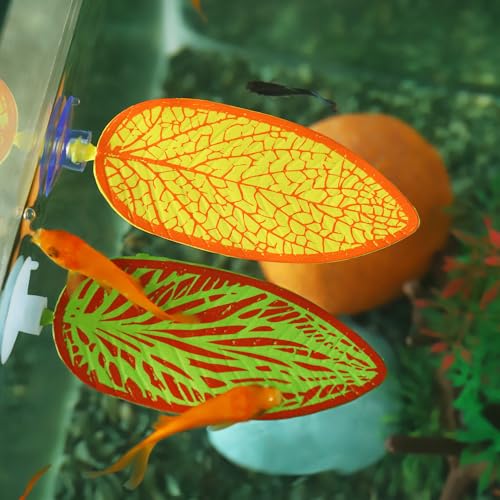 HIERYAN 3 Pack Betta Fish Leaf Aquarium Plant Leaves, Hammock Plant Leaf Pad Fish Spawning Grounds Breeding Resting Bed